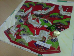 IMG00420-20110329-1641