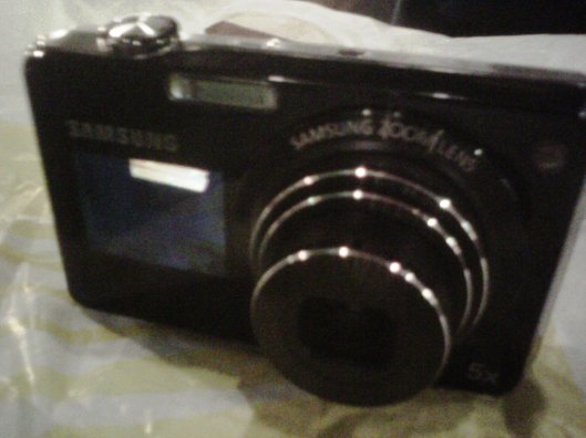 IMG00619-20110610-2138