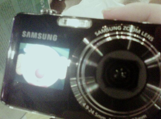 IMG00621-20110610-2139