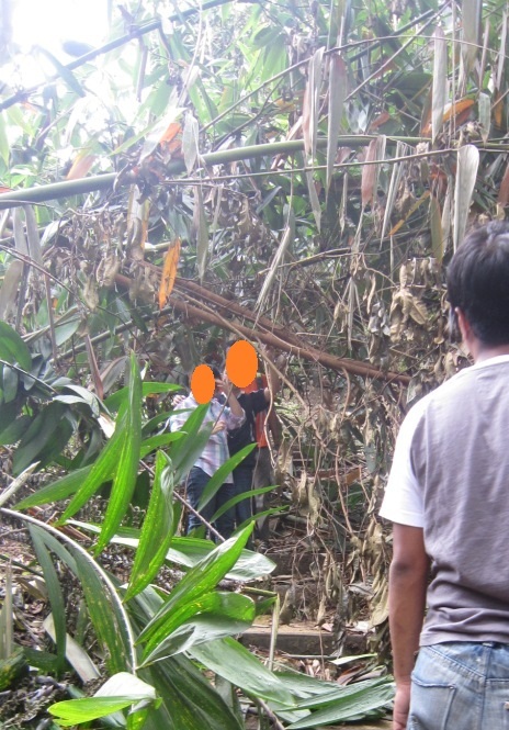 Walking into low branches