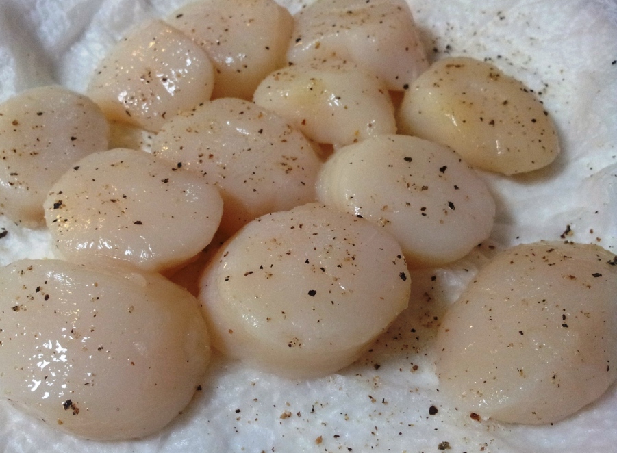 Scallops