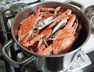 Crabs in a POT