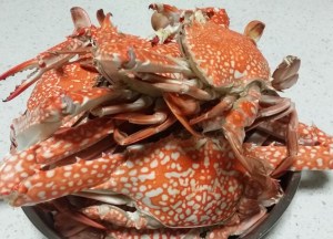 Resting and Cooling Down